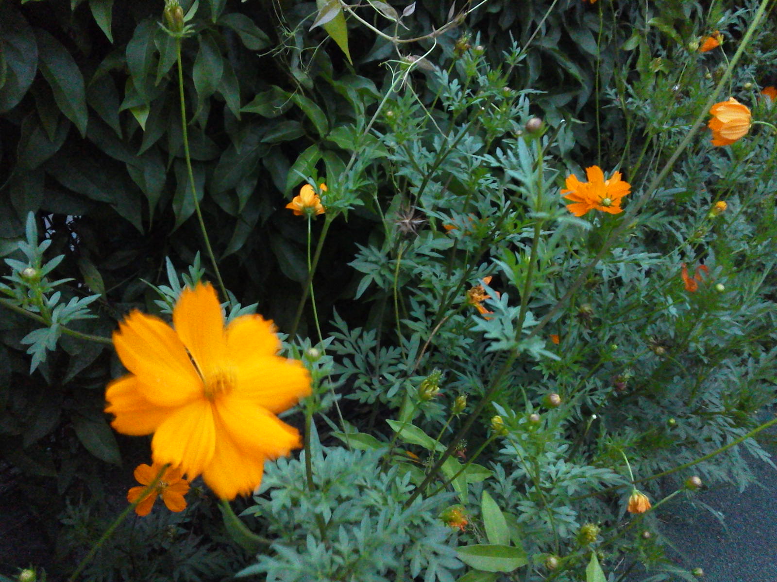 c0076939_01532.jpg