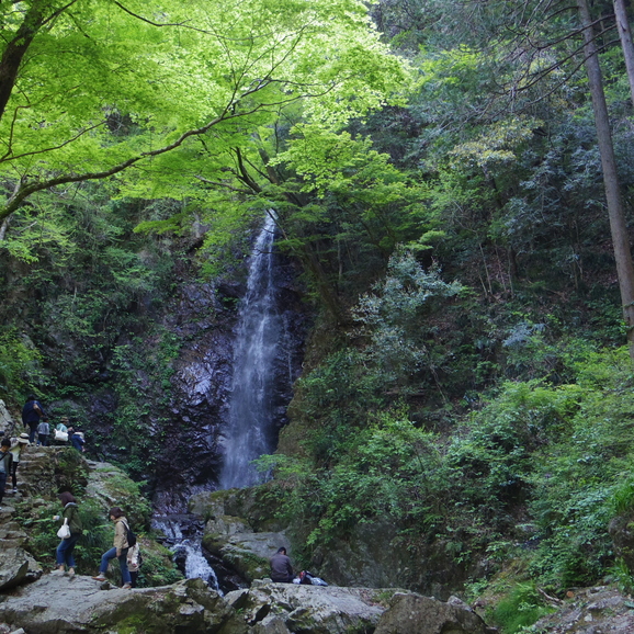 Waterfall　東京の滝：清流を求めて　「払沢の滝」_a0265945_2491271.jpg