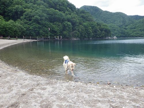 中禅寺湖キャンプ　－2日目－_a0299147_1838888.jpg