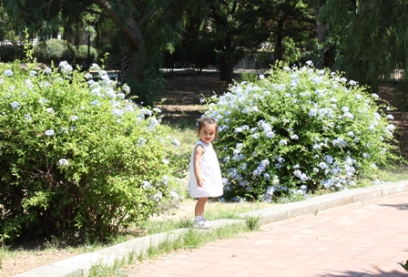 a0166650_7113297.jpg
