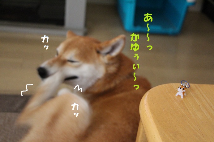 f0245650_9322028.jpg