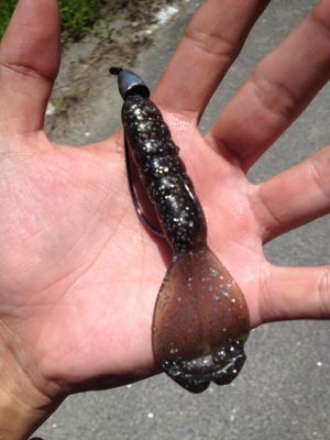 Deps リルラビット 熊本のバスを釣ろう Deps リルラビット 熊本のバスを釣ろう