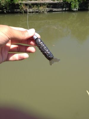 Deps リルラビット 熊本のバスを釣ろう Deps リルラビット 熊本のバスを釣ろう
