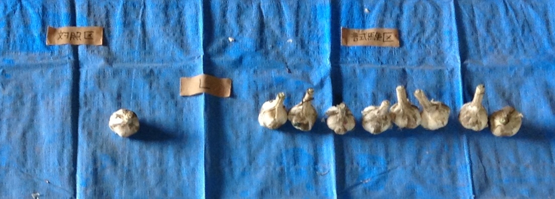 f0057955_2213375.jpg