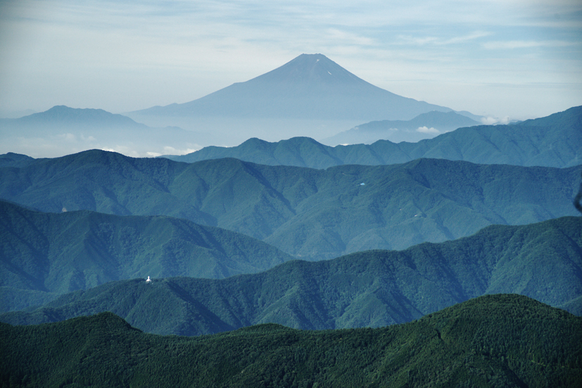 ムシムシ（虫、蒸し）の雲取山_f0016656_2311512.jpg