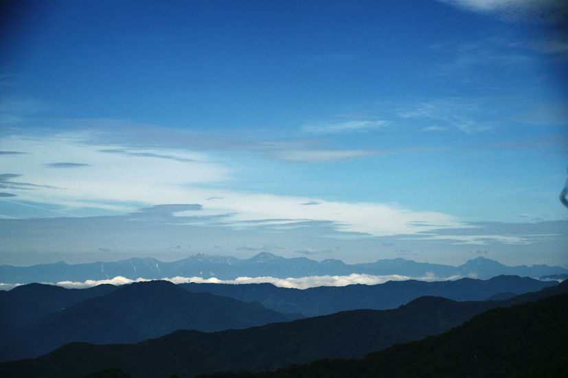 ムシムシ（虫、蒸し）の雲取山_f0016656_2328810.jpg