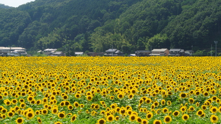 f0233356_719499.jpg