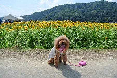 f0233356_7214133.jpg