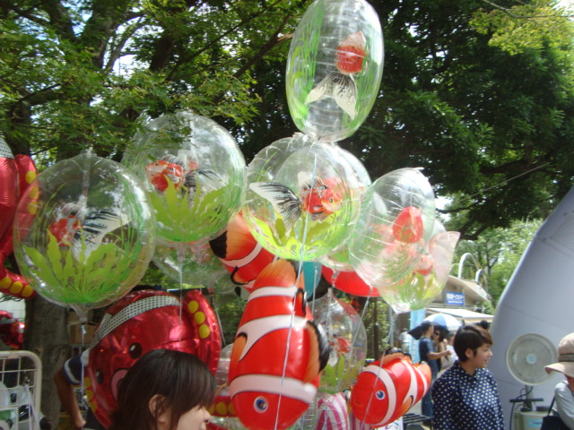 「江戸川区金魚まつり」へ行く。_f0232060_11211766.jpg