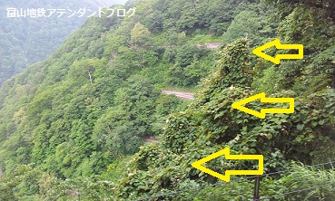 秘境の地!立山カルデラへ ~トロッコ編~_a0243562_11452824.jpg