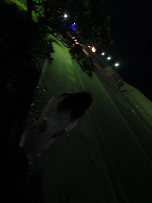 f0260263_16421872.jpg