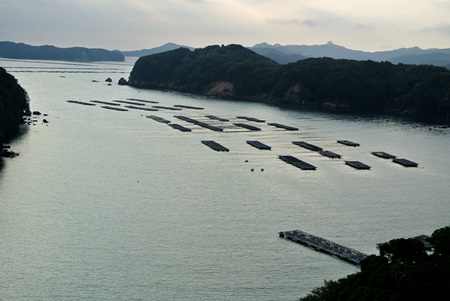 f0207664_941464.jpg