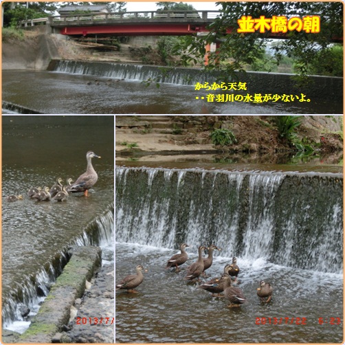 d0007071_16165075.jpg