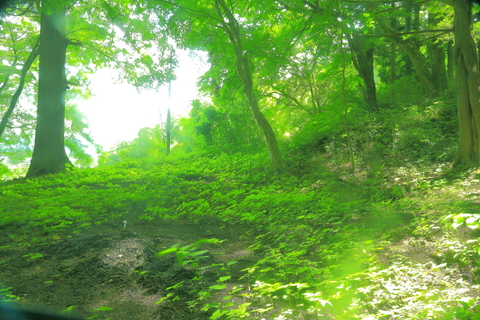 f0075075_10533986.jpg