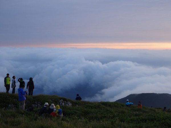 伊吹山ナイトハイク～ご来光登山　その２：御来光　花畑散策編_c0066176_2150184.jpg