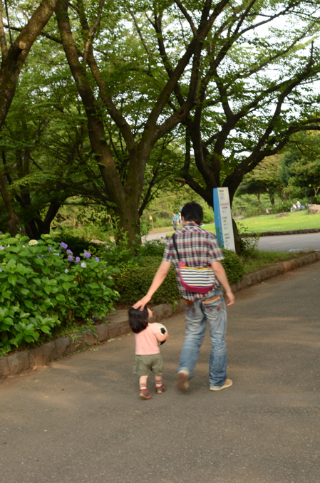 夏のゆうべ_b0194880_203685.jpg