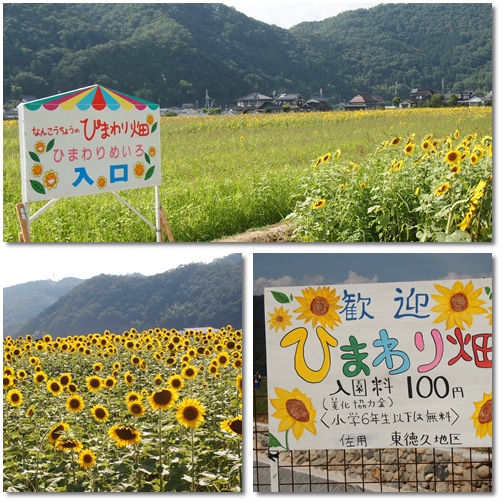 d0078486_727538.jpg