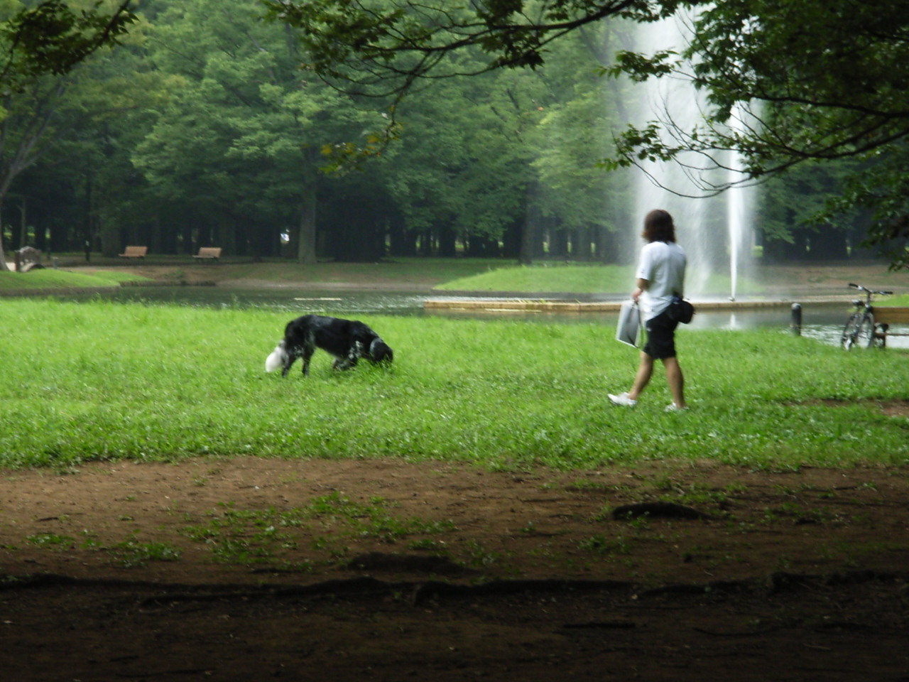 7月22日　代々木公園_e0188287_10304216.jpg