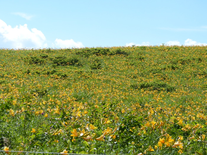 f0287487_18272940.jpg