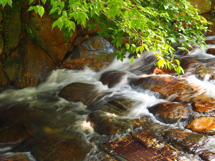 涼を求めて（沼川上流　鳥栖市）2013.7.22撮影_a0149488_17241896.jpg