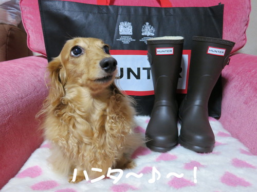 ハンター HUNTER レインブーツ オリジナル レディース 買ったったｗｗｗ_b0200291_22461522.jpg