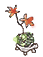 d0146792_12415292.gif