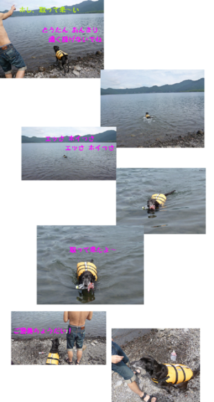 d0282395_11151178.png