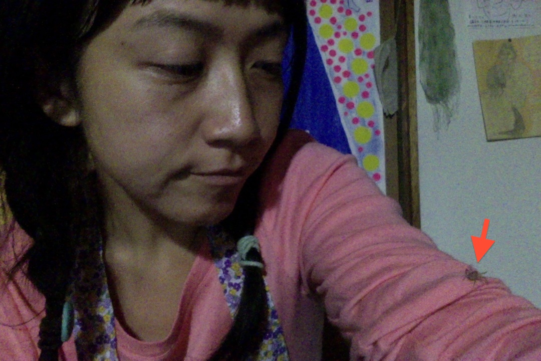 b0191196_22453630.jpg