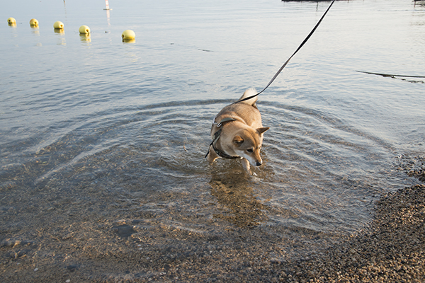 私を湖畔に連れてって_b0141397_12592751.jpg