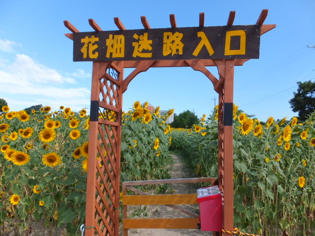 a0271502_13321819.jpg