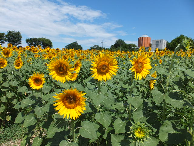 a0271502_13361482.jpg