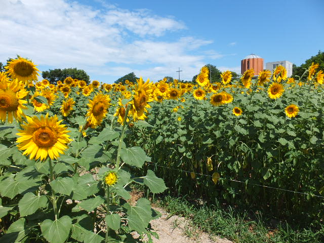 a0271502_13374171.jpg
