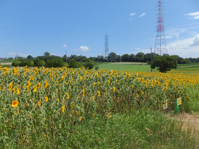a0271502_13563358.jpg
