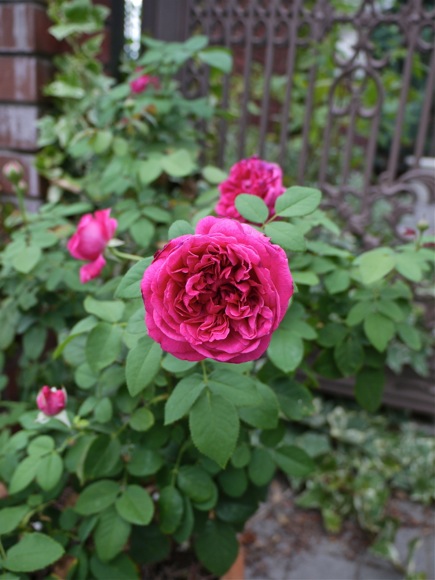 e0163202_19271753.jpg