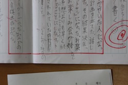 国語「活動報告書を書こう」１３_c0052304_0395543.jpg