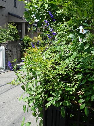e0234004_2211980.jpg