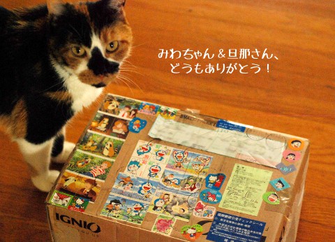 ラスカル、ふたたび!日本からの小包。_b0253205_6253997.jpg