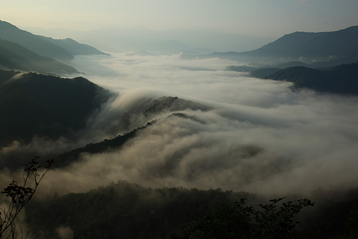 a0148606_1734322.jpg