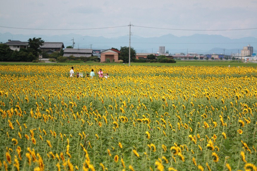 a0116107_2055408.jpg