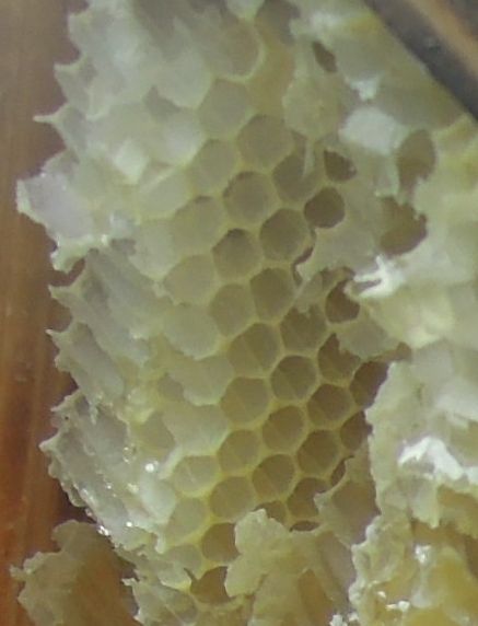 c0149408_14554532.jpg