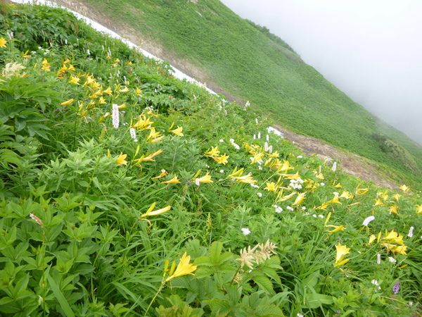 d0170615_6591552.jpg