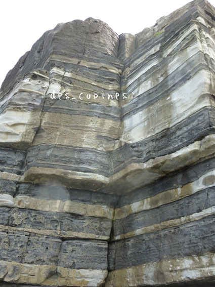 e0105115_910056.jpg