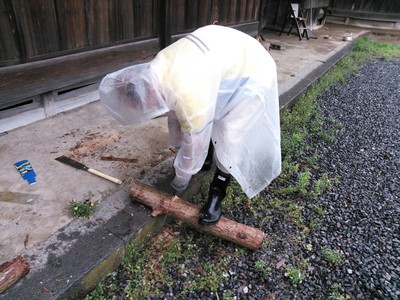 パルプが出来るまで~準備~_a0280319_17323433.jpg