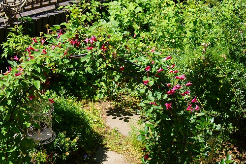 f0170524_12414188.jpg