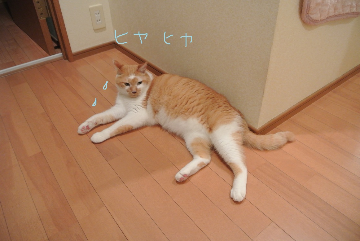 a0099131_14243324.jpg