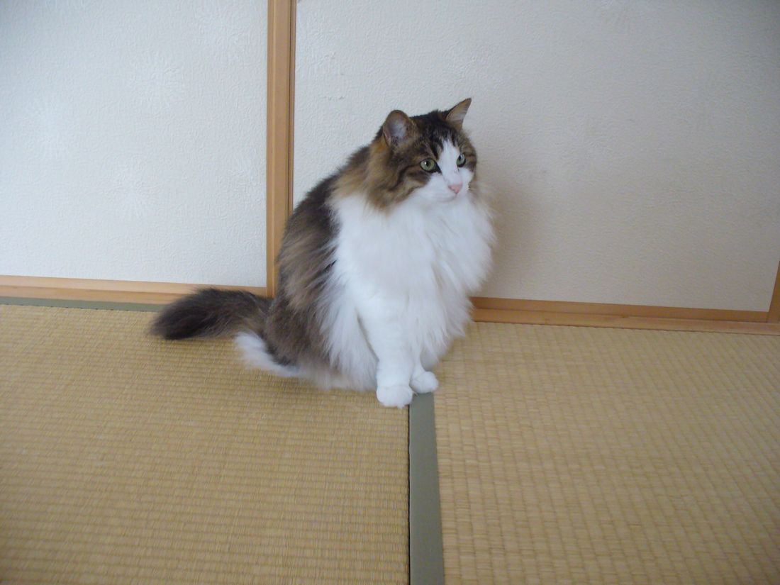f0275632_23576.jpg