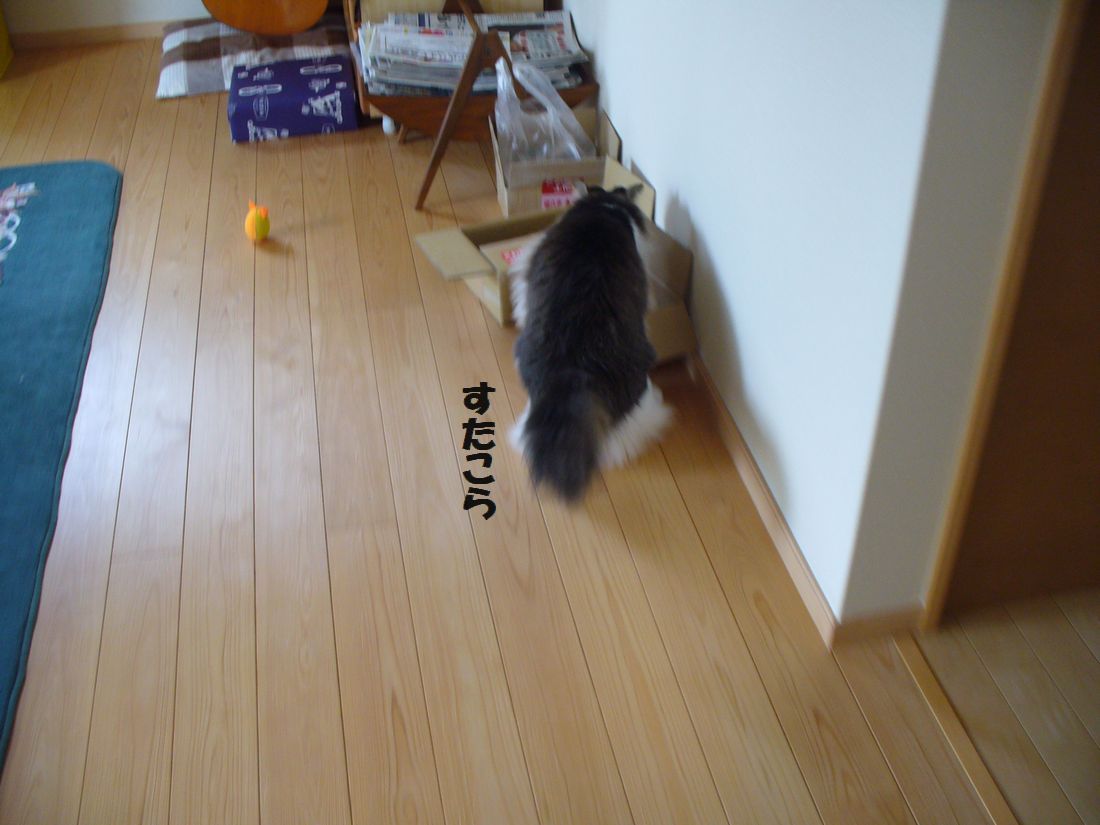 f0275632_2372478.jpg