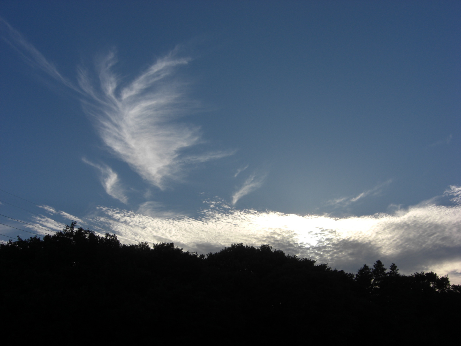 a0163738_14513487.jpg