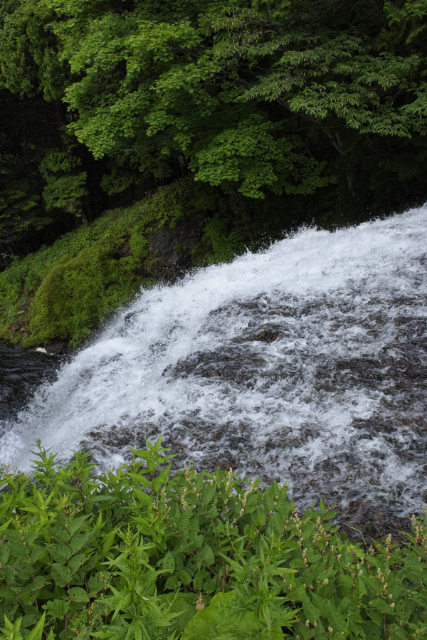 e0321360_0112270.jpg