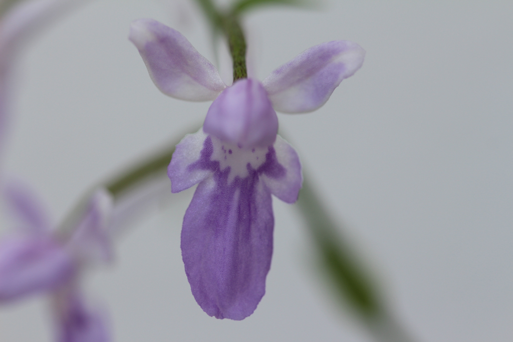 c0307468_14515190.jpg